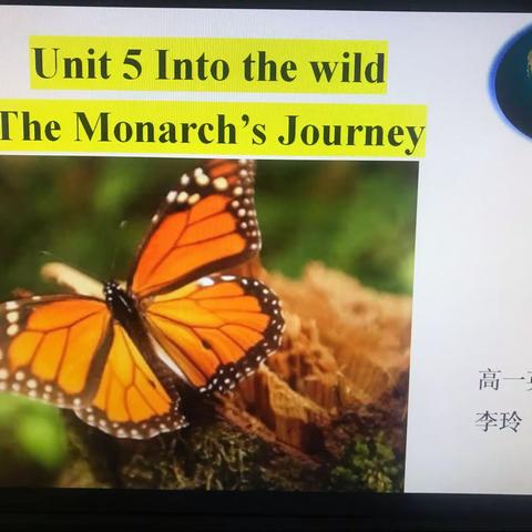 李玲同题异构Book1Unit5﻿ Understanding Ideas ﻿﻿TheMonarch’s ﻿Journey