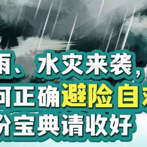 【南区渡头幼儿园】“暴雨、水灾来袭，如何正确避险自救？”