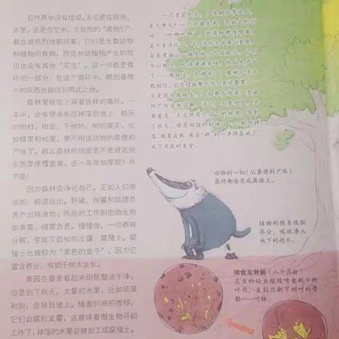 小读者