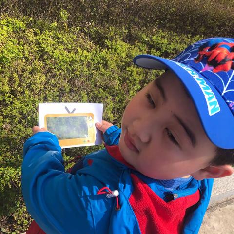 崇文幼儿园🏫大五班精彩回顾