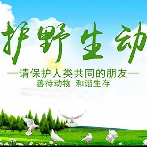 新蒲新区绿荫幼儿园“爱护野生动物、全面禁止非法野生动物交易、长江流域禁捕”倡议书