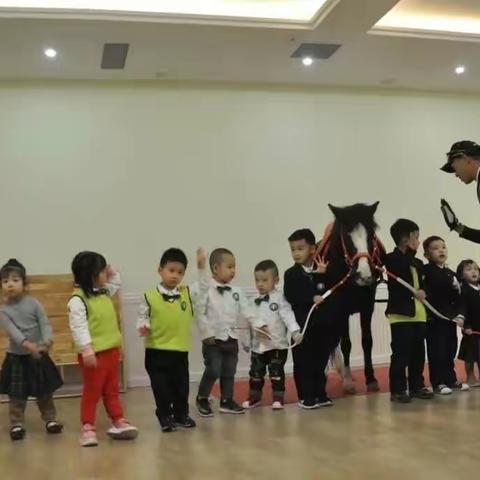 慧育幼儿园🏩亲子马术体验🏩做快乐小骑士