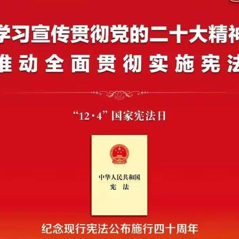 宪法是国家的根本法是治国安邦的总章程，12月4日国家宪法日感受良法善治同心同行的强大力量。