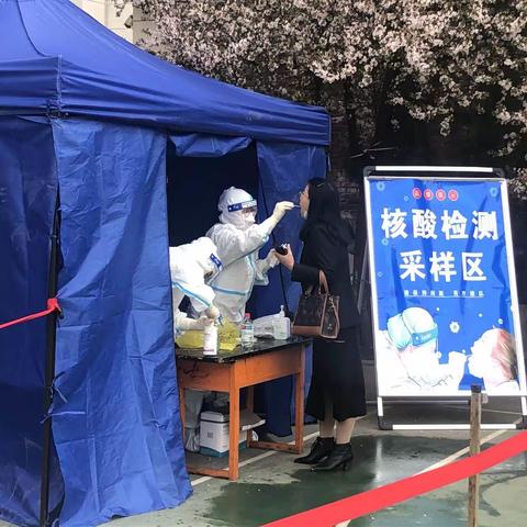 核酸检测严把关，凝心聚力筑防线—梅苑社区组织辖区机关事业单位高效有序开展核酸检测工作