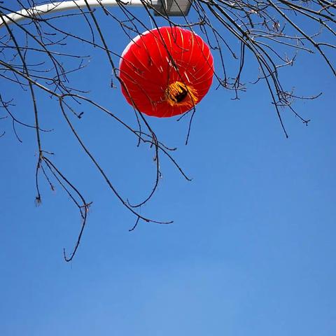 有一种乡愁叫回家