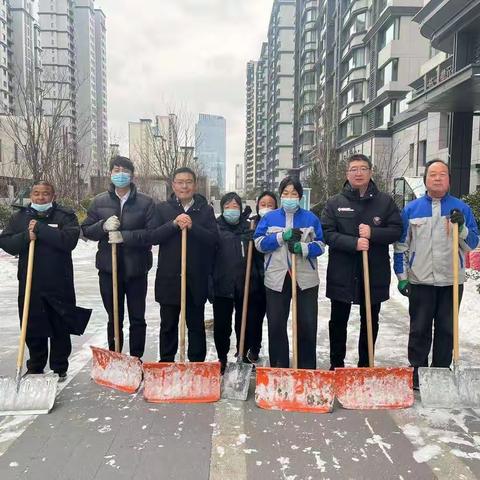 瑞雪纷飞至，物业除雪暖人心