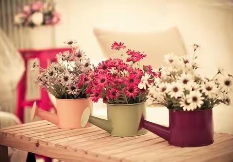 2021-2022学年第一学期教师教学随笔