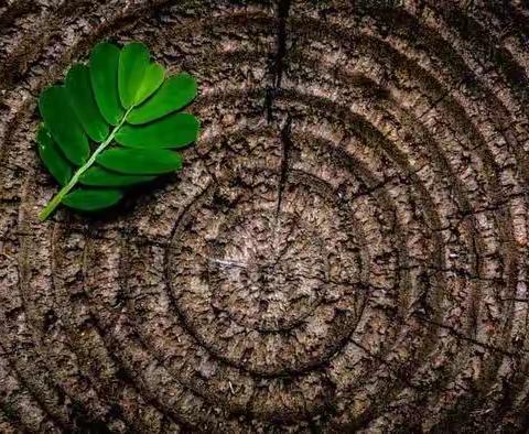 父亲节特别想说，我很想念爸爸