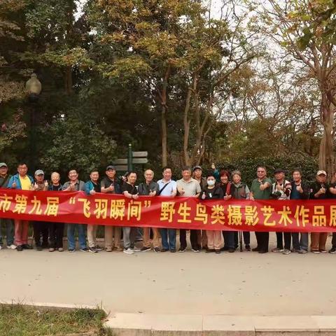 青岛市第九届“飞羽瞬间”野生鸟类艺术摄影展