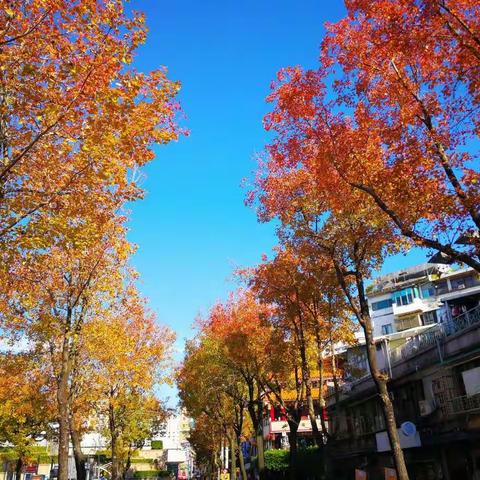 环岛行Ⅸ台北阳明山