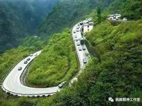 正在征文补充完善中…【昌运嘟嘟世界】川藏线格桑花  特刊专版