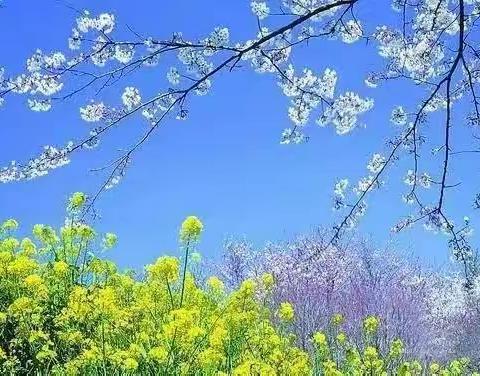 快乐五一，探春岭城