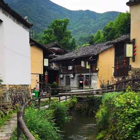 五月雨后寻访龙泉下樟