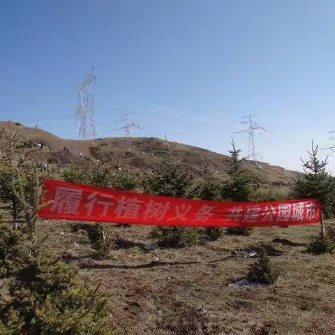 我的山水情                    ——携手植树造林 共建生态文明湟中