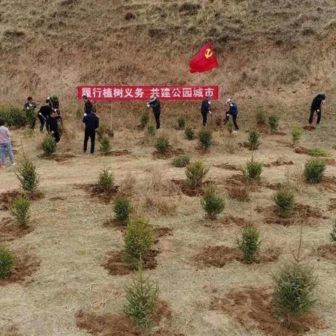 我的山水情——植树