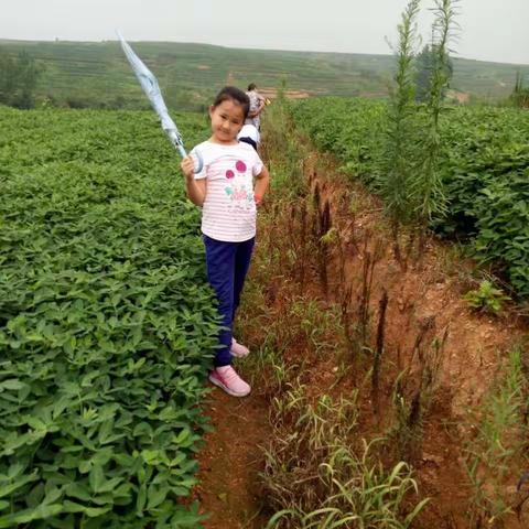 我的田园生活^_^