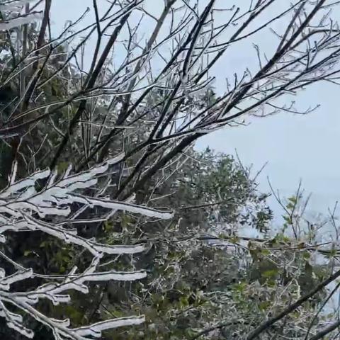 2023年12月10日   大雪