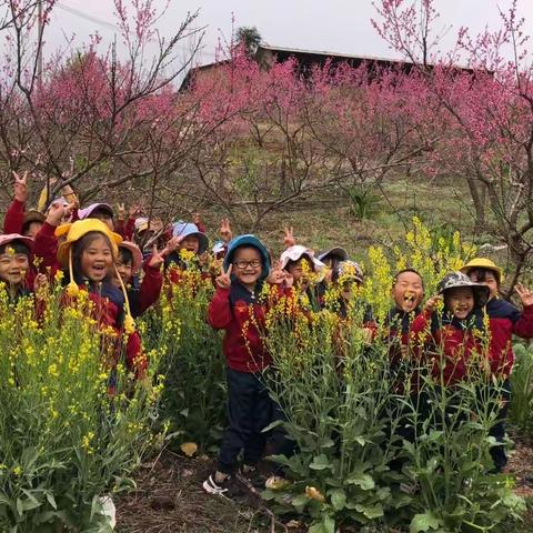 马鞍山乡中心幼儿园大班“一起制作和品尝美食～棠梨花粑粑”精彩瞬间