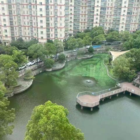 【社区治理】河道蝶变，唯有源头活水来