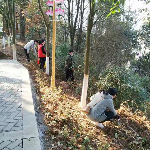 建宁县住建局党委组织多个党支部开展迎新春——东山公园卫生整治活动