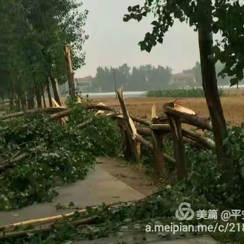 暴风雨给原阳电力留下的痕迹…………