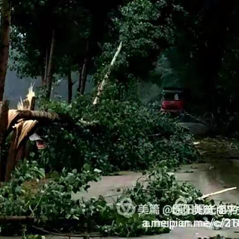 暴风雨后电力人（四）争分夺秒昼夜奋战……全力恢复供电……