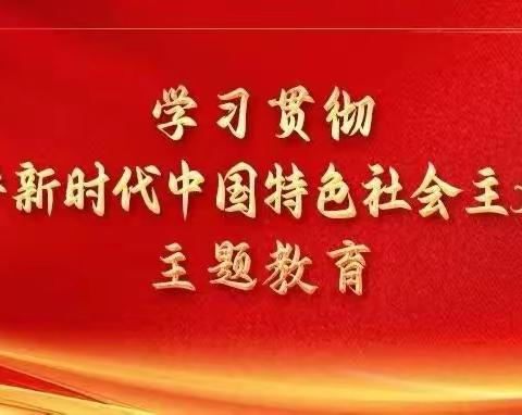 “奋进新征程·扬帆新时代”学习贯彻习近平新时代中国特色社会主义思想主题教育·心得交流③