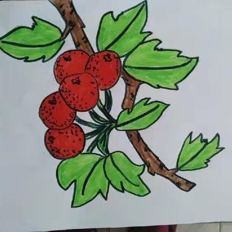 “弘扬中医传统文化，走近身边中草药”——丰润区欢喜庄中心小学五年级特色作业展示