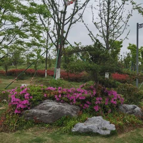 慈溪森林公园一游