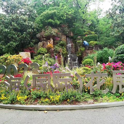 观赏上海国际花展