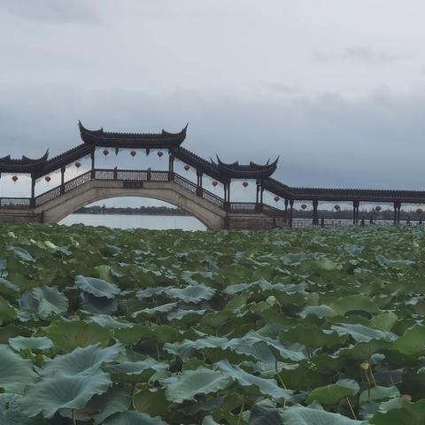 锦溪巴城一日游