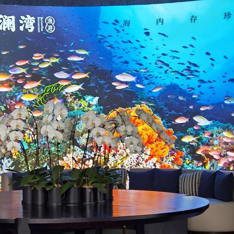 欢聚在“海澜湾”