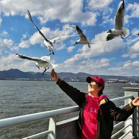 《蓝天白云.与鸥共舞》水晶包2019-3-1日