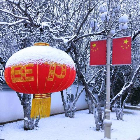 《初春的雪……》盼望已久的冬雪，今天终于下了，瑞雪兆丰年，好事如意连连，牛🐮年吉，快乐健康。2021年3月1日