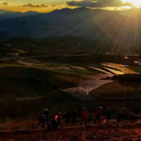 云南行《蓝天白云红土地……》2019-2-27日