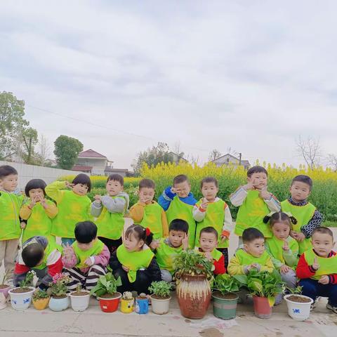 植此绿意🍃，爱育幼童👦”——康家吉幼儿园小一班植树节活动