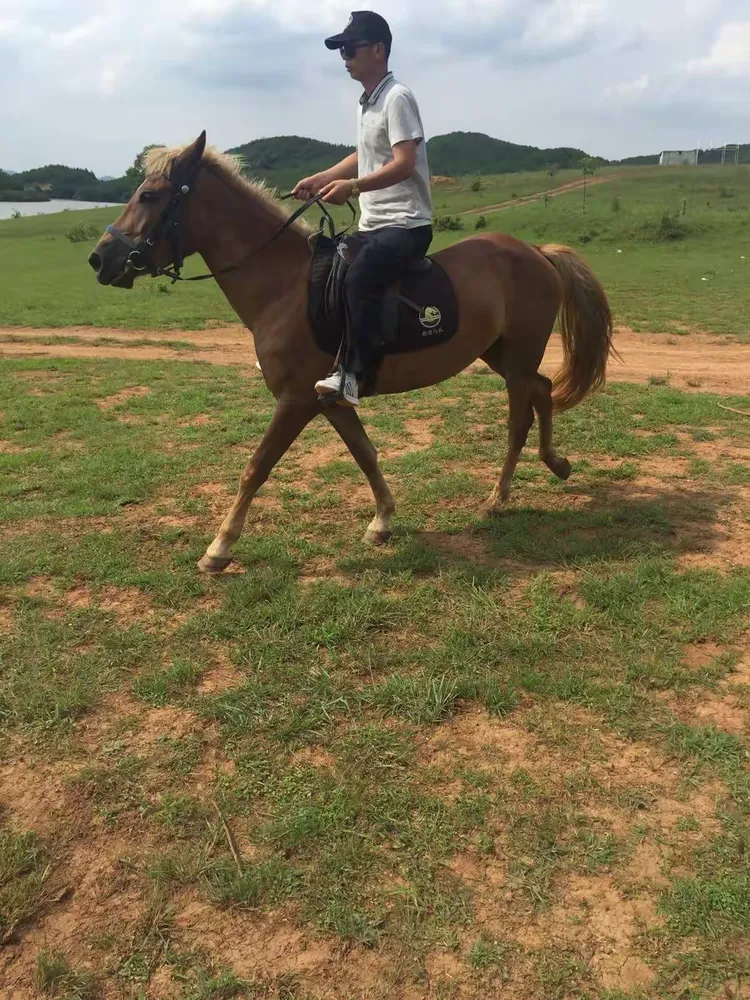 水北大草原一日游