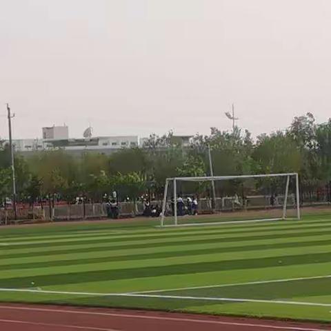 美化校园，从我做起  —音美组  王延浩