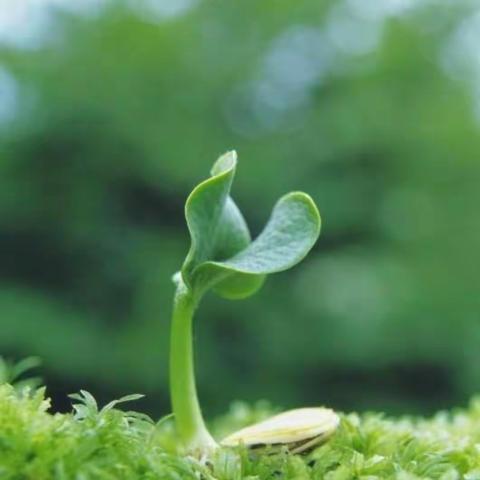 春华秋实，教学相长