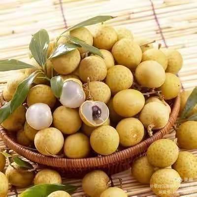虎贺新年万象新，2022年1月12日起，联合万家超市曾子店年货盛宴火热开启店内办理储值卡，接受团购