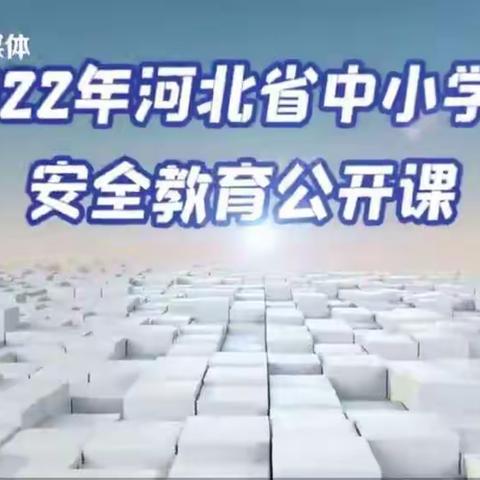 生命只有一次，安全伴我成长——王务庄小学收看河北省中小学生安全教育公开课纪实