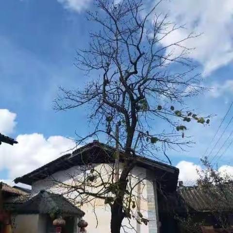 冬日的乡村提前沐浴书法下乡的春光