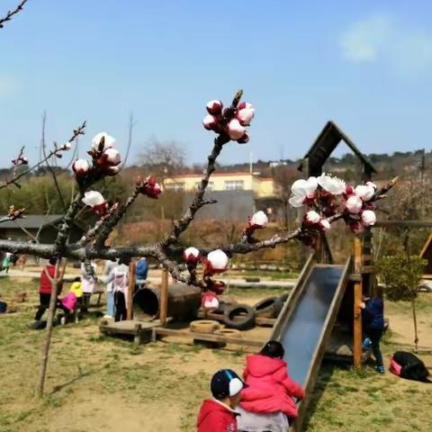 吾心安处，人人都是生活家——爱的花园幼儿园假期学习生活点滴
