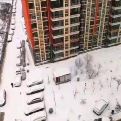 鹤城终于见到雪花🌸了