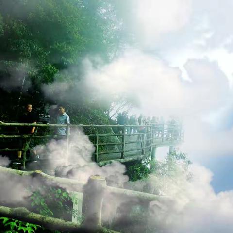 当我走进人间仙境——