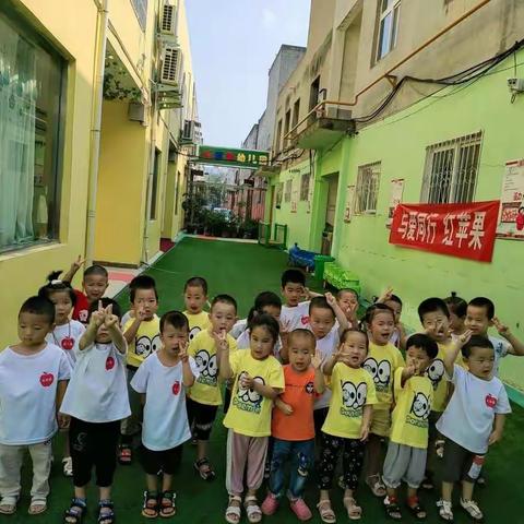 浓情端午粽飘香，爱在红苹果