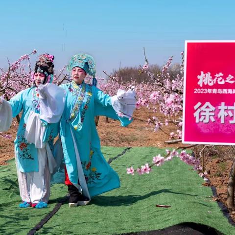 青岛西海岸新区桃花节片段