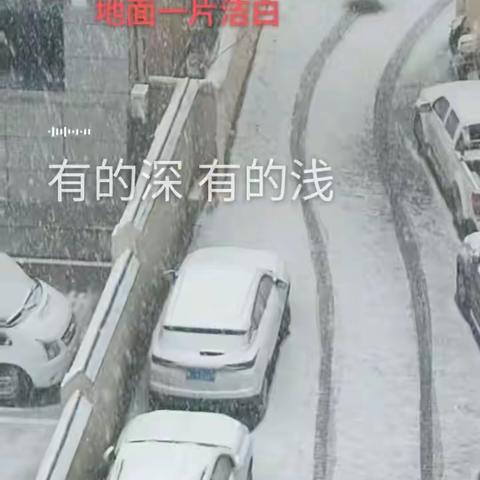 长相思.雪