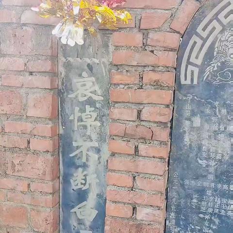 天净沙.清明扫墓