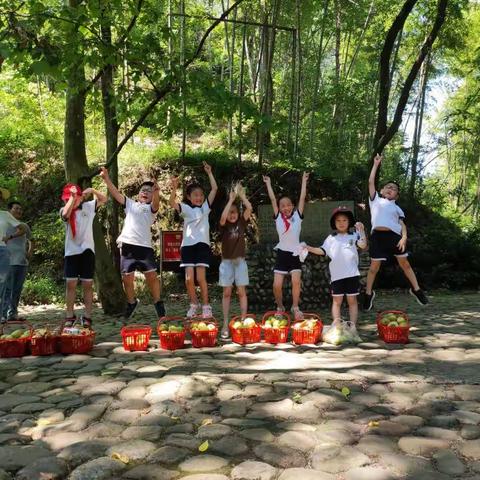 【育才·实践】亲近自然，体验丰收的艰辛与喜悦---育才小学二（2）班采摘翠玉梨